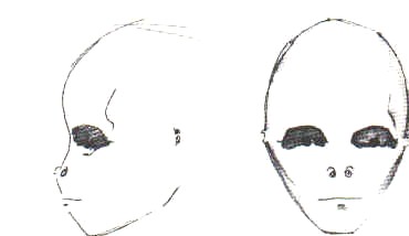 Disegni di Dennis